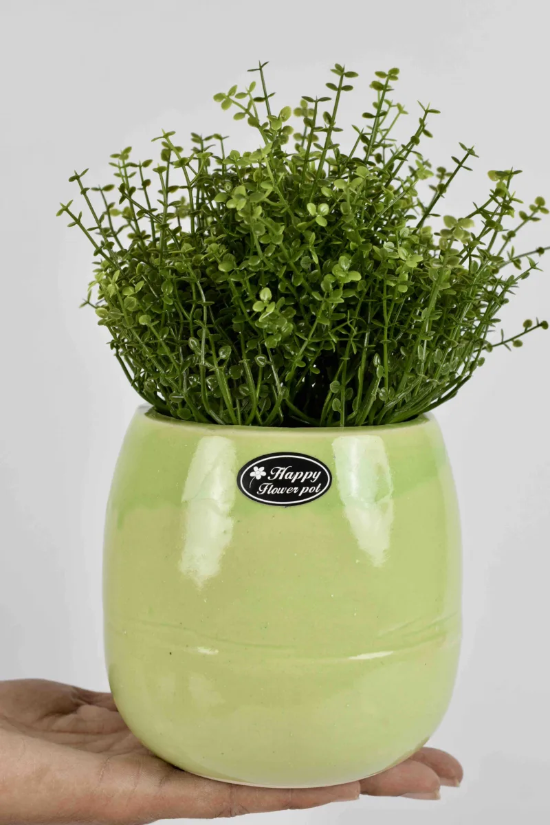 Classic Ceramic Planter — 6" Dia × 5" Height — Primary View