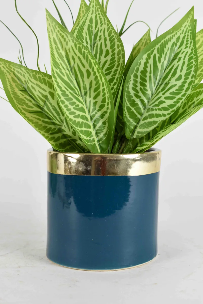 Classic Ceramic Planter — 6" Dia × 5" Height — Primary View