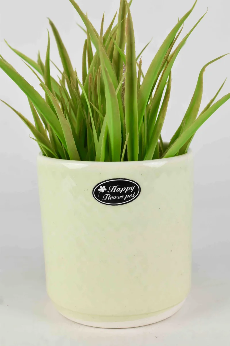 Classic Ceramic Planter — 4" Dia × 4.5" Height — Primary View
