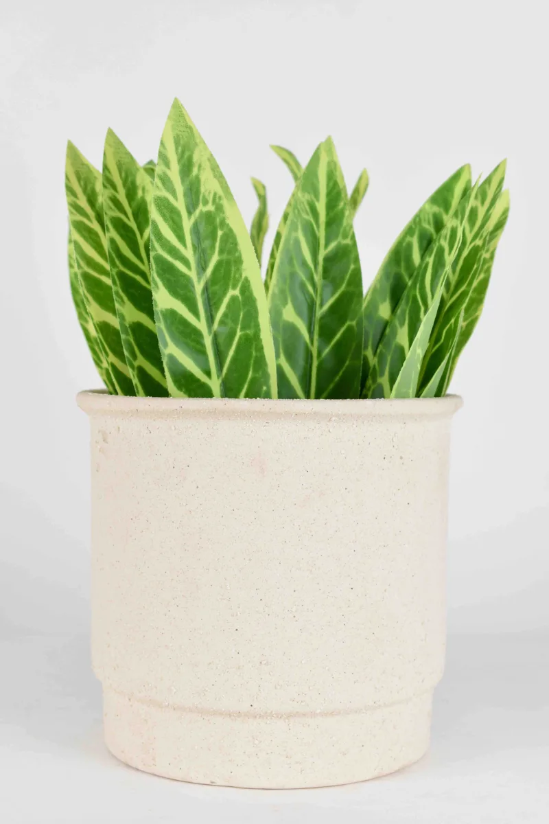 Classic Ceramic Planter — Primary View