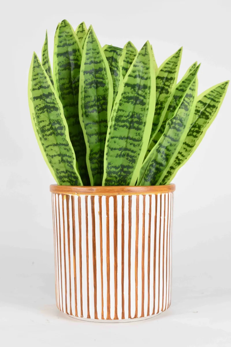 Classic Ceramic Planter — 10" Dia × 10" Height — Primary View
