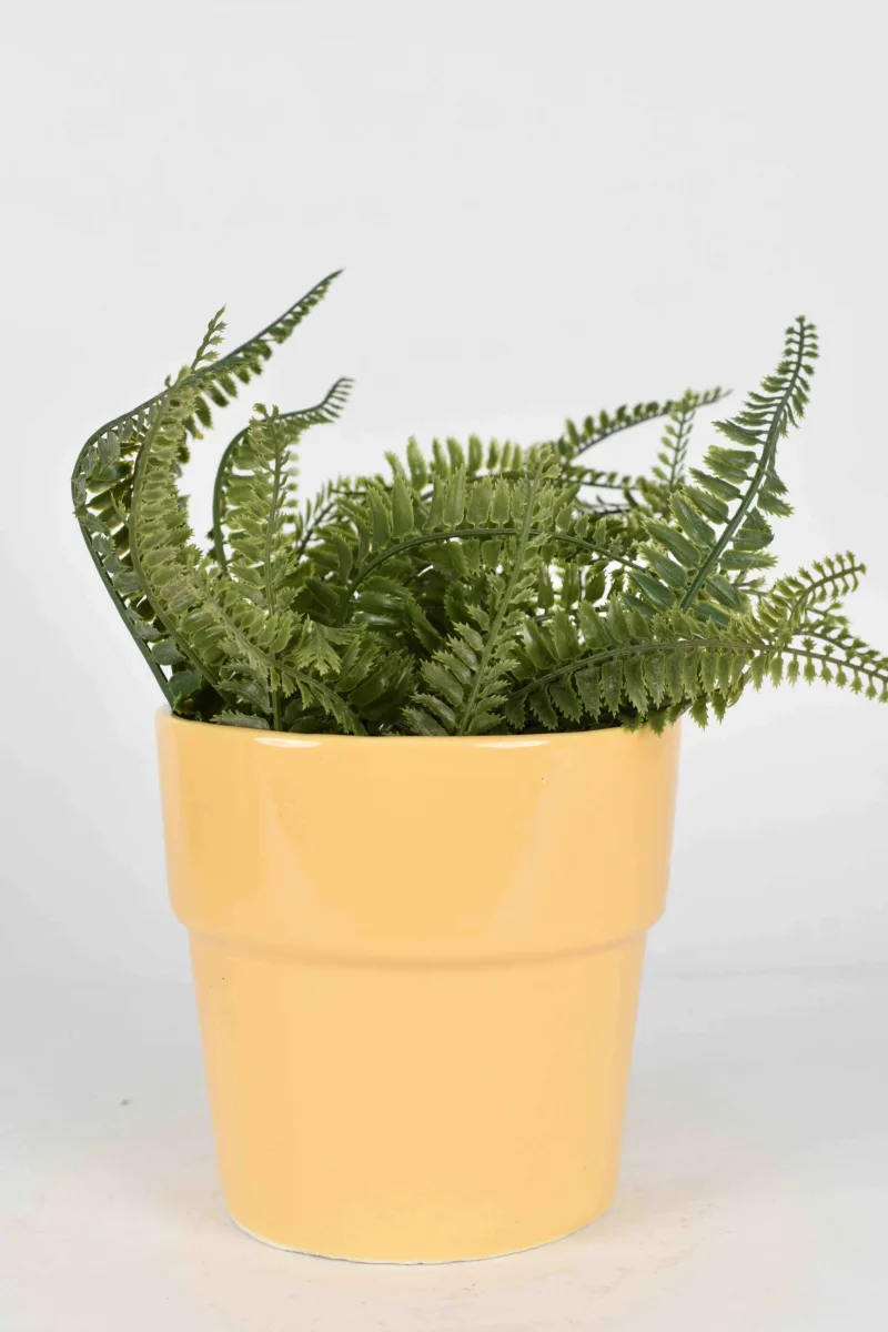 Classic Ceramic Planter — 5" Dia × 4.5" Height — Primary View