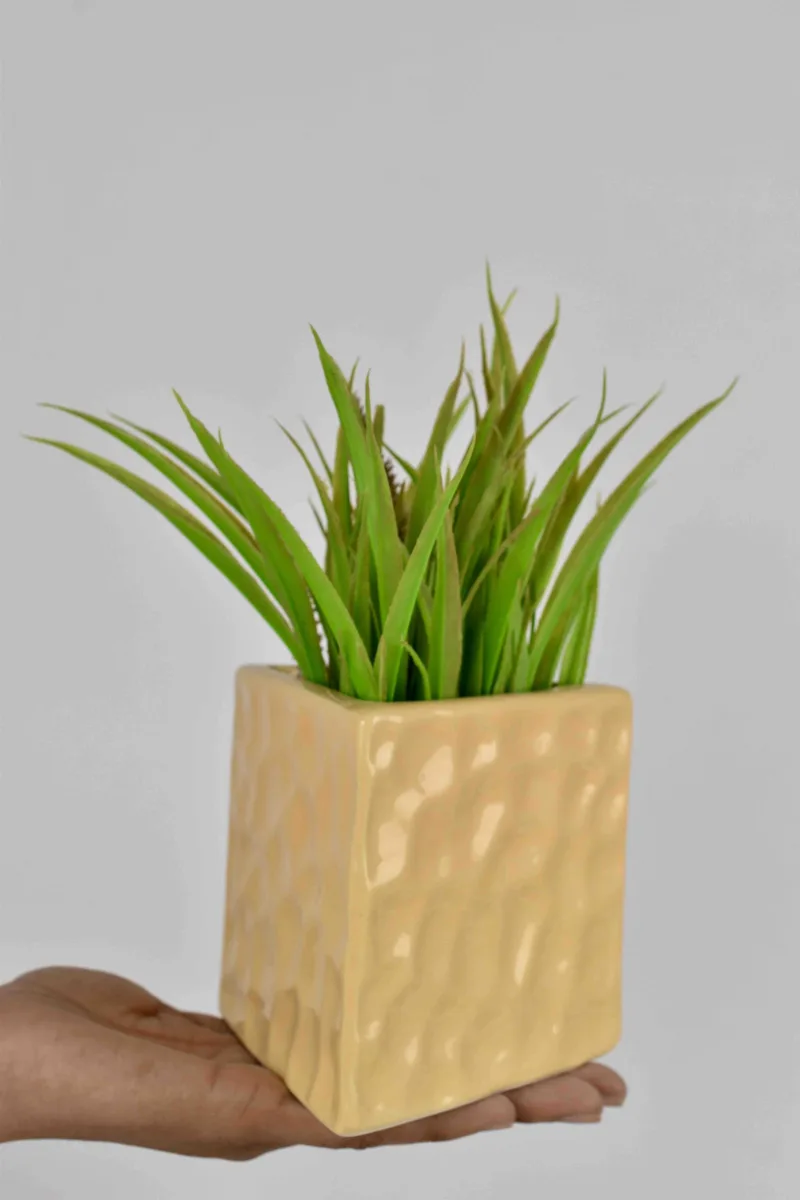 Classic Ceramic Planter — 4.5" Dia × 4.5" Height — Primary View