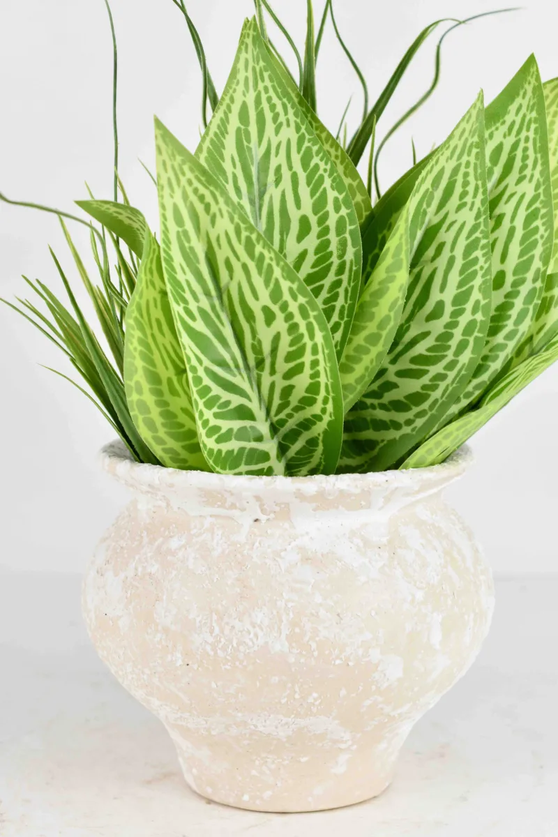 Classic Ceramic Planter — 4.5" Dia × 4" Height — Primary View