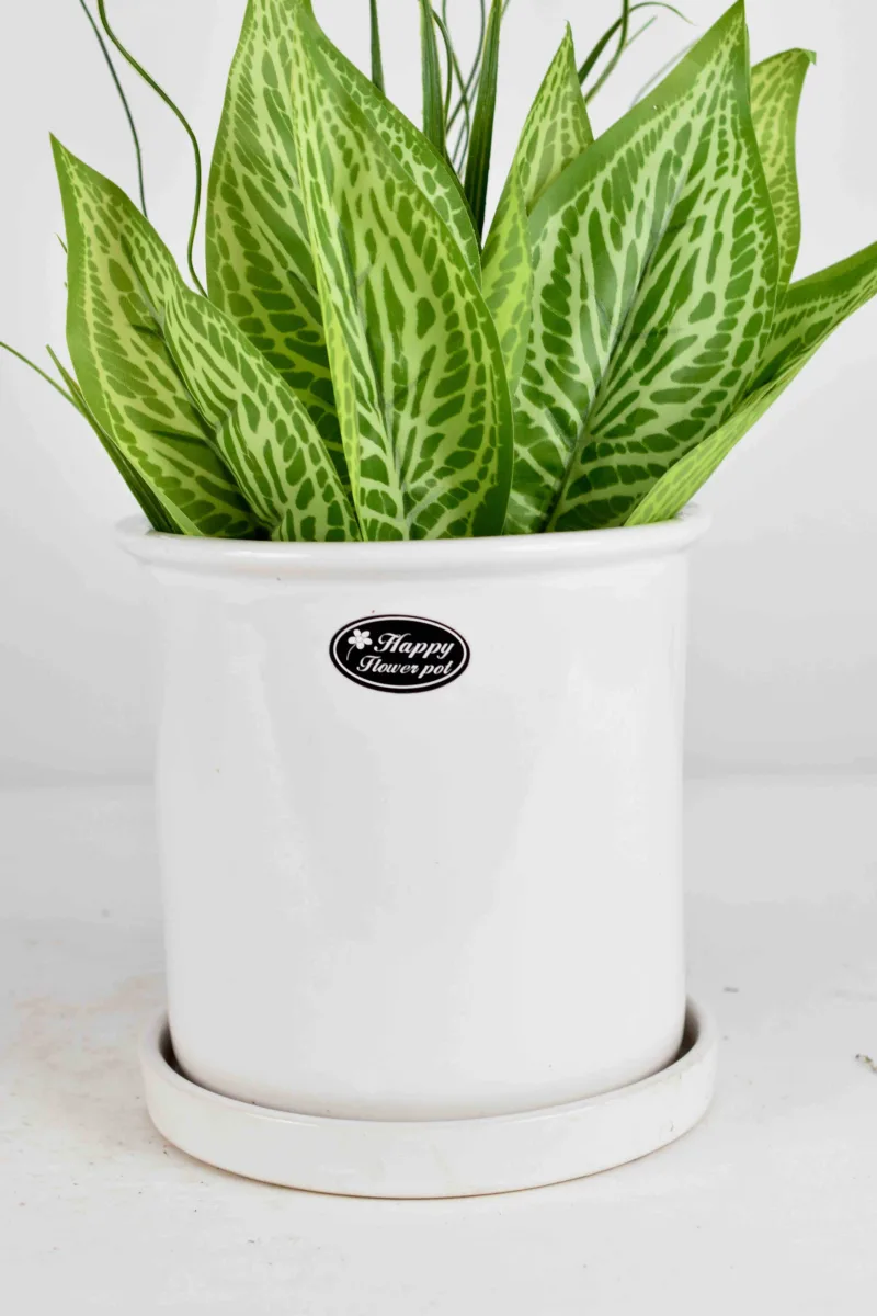 Classic Ceramic Planter — 4.5" Dia × 4" Height — Primary View