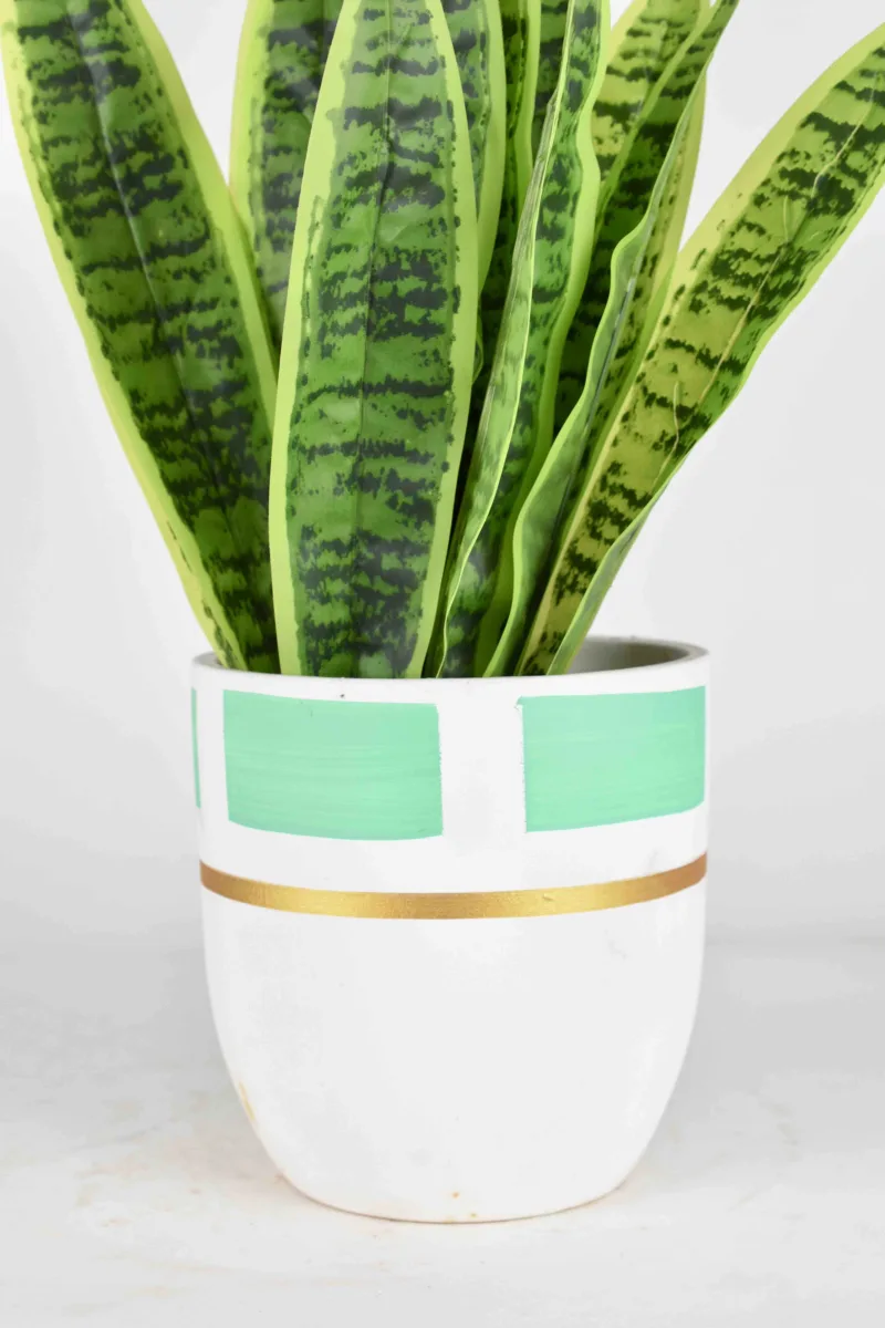 Classic Ceramic Planter — 5.5" Dia × 5" Height — Primary View