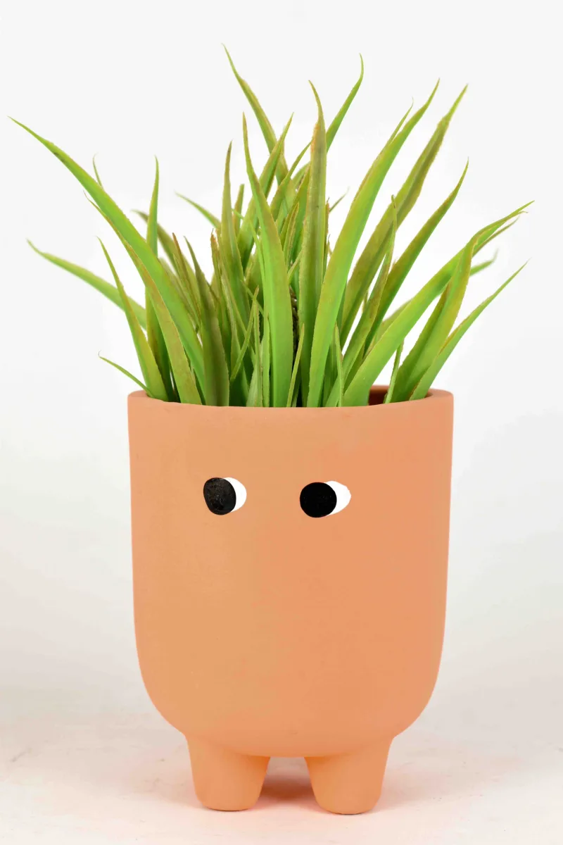 Classic Ceramic Planter — 5" Dia × 4" Height — Primary View