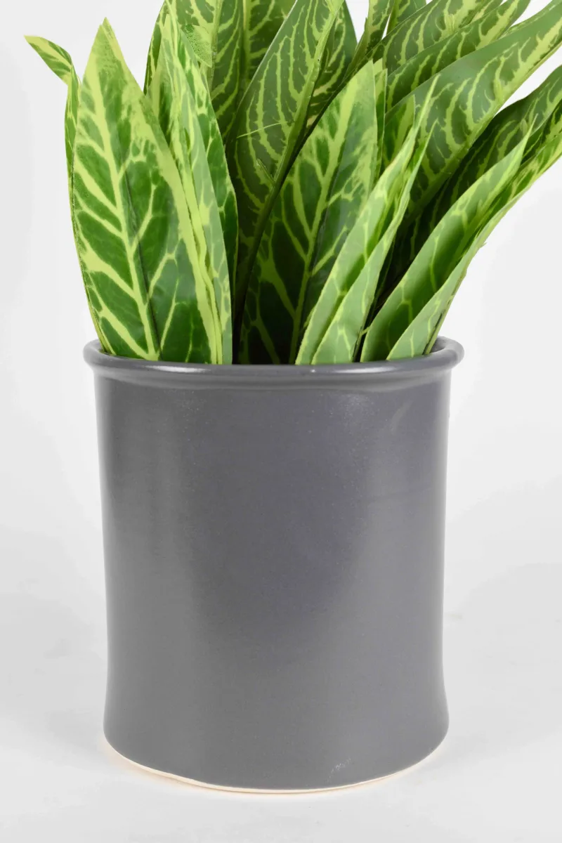 Classic Ceramic Planter — 7" Dia × 5.5" Height — Primary View