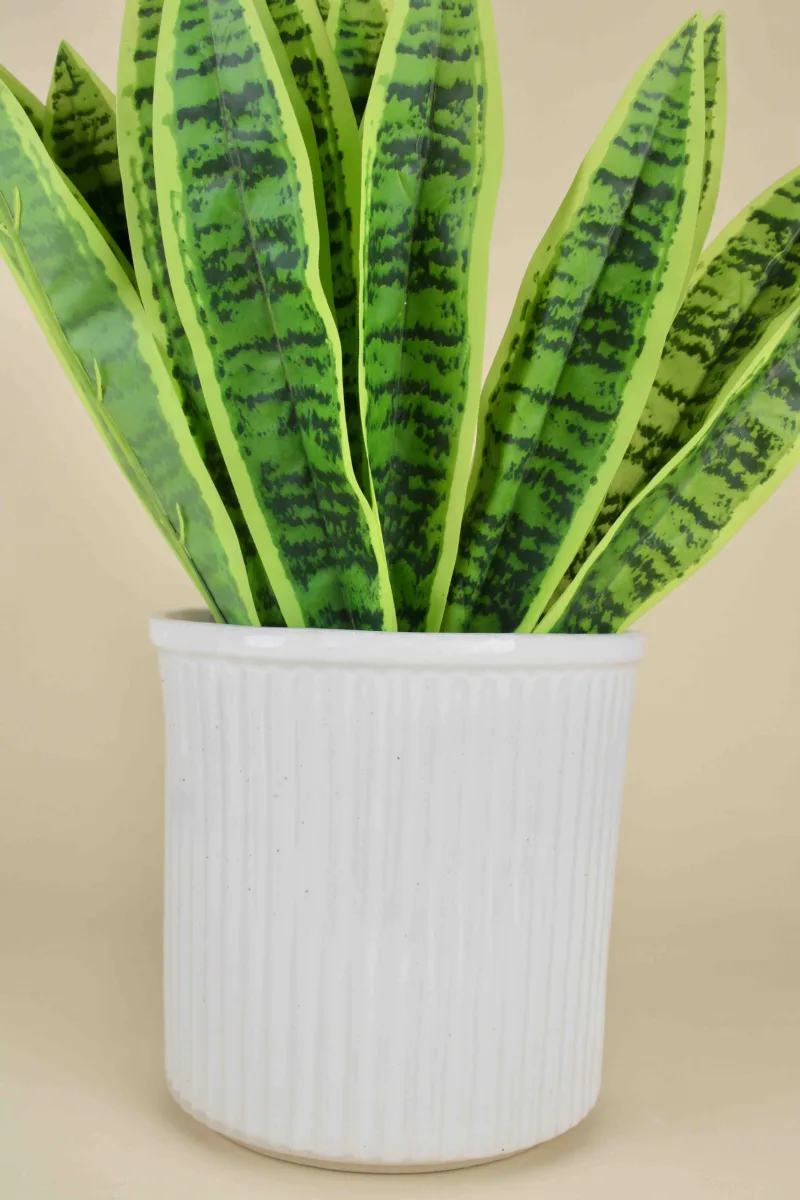 Classic Ceramic Planter — 7" Dia × 7" Height — Primary View