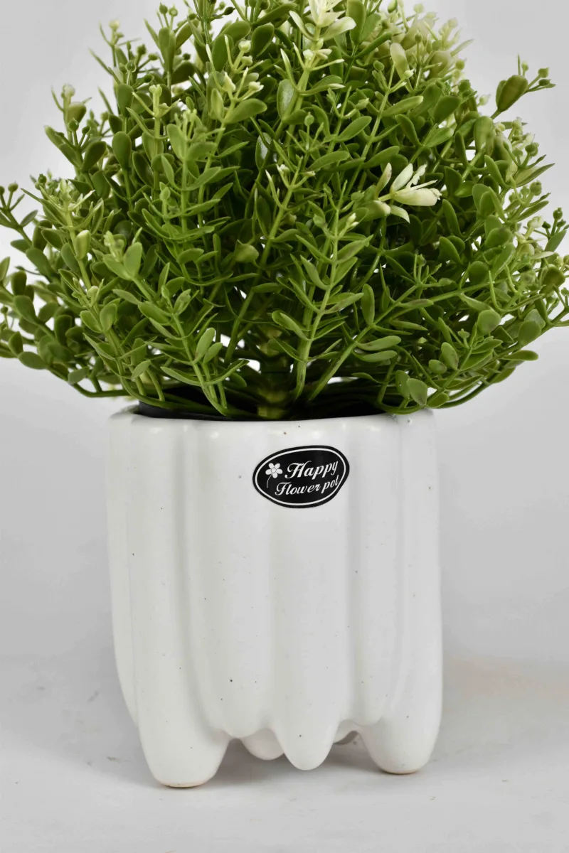 Classic Ceramic Planter — 5" Dia × 0.6" Height — Primary View