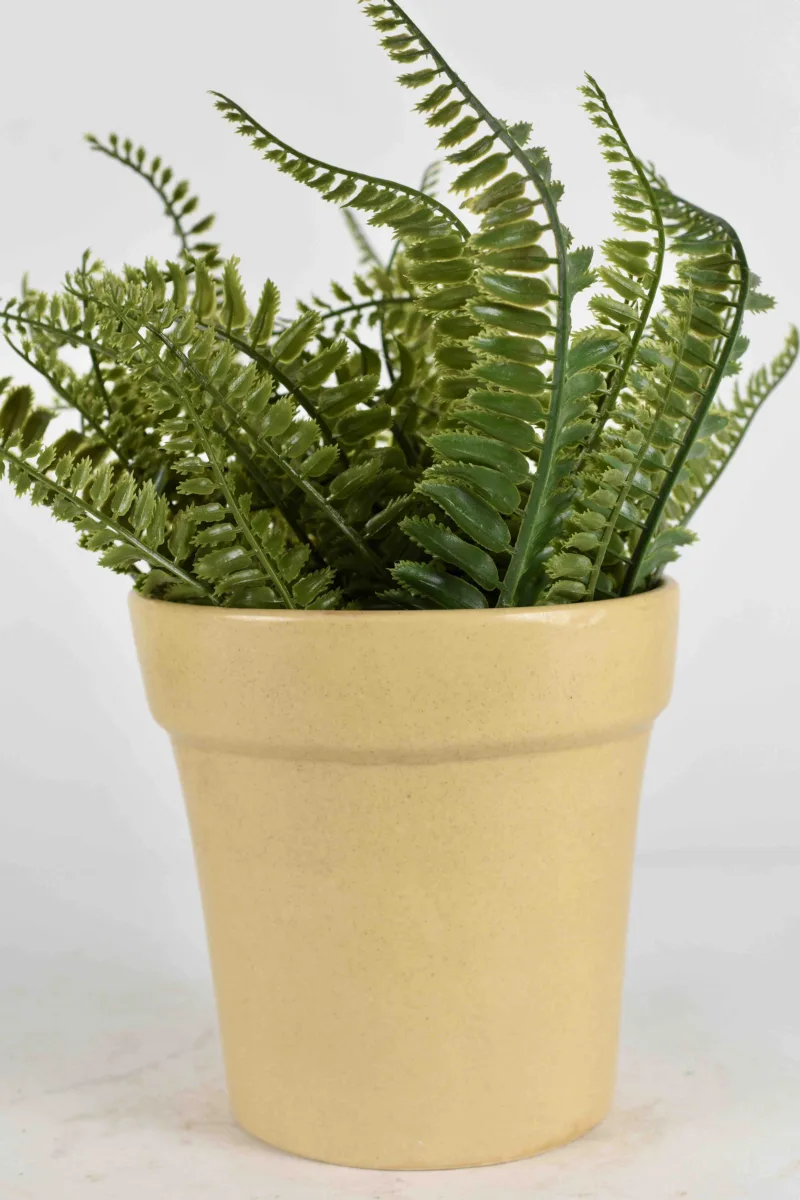 Classic Ceramic Planter — 4.5" Dia × 4.5" Height — Primary View