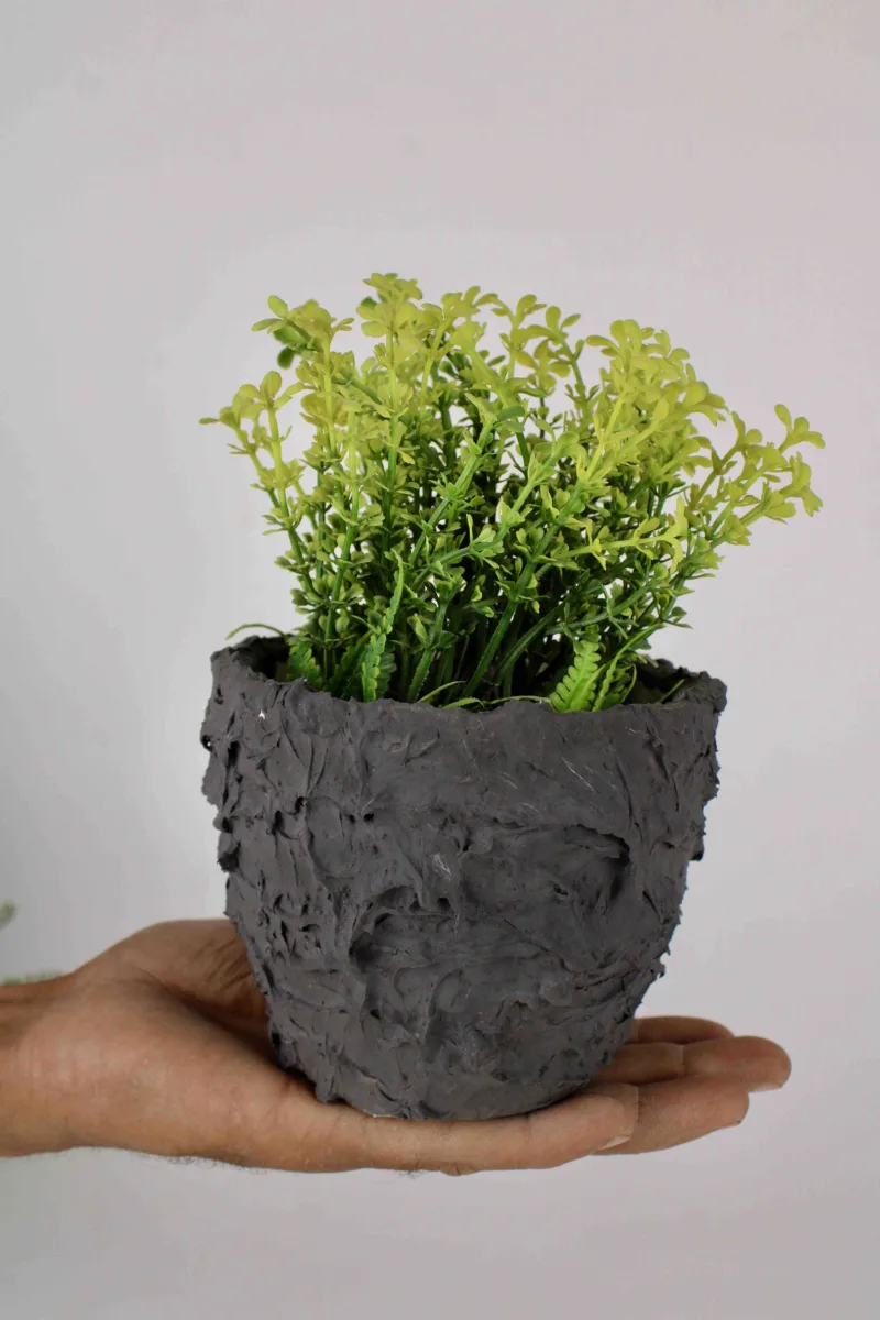 Classic Ceramic Planter — 5.5" Dia × 4.5" Height — Primary View