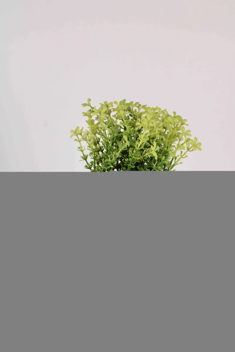 Classic Ceramic Planter — 5" Dia × 4" Height — Primary View