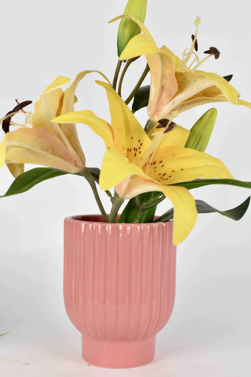Classic Ceramic Planter — 12" Dia × 12" Height — Primary View