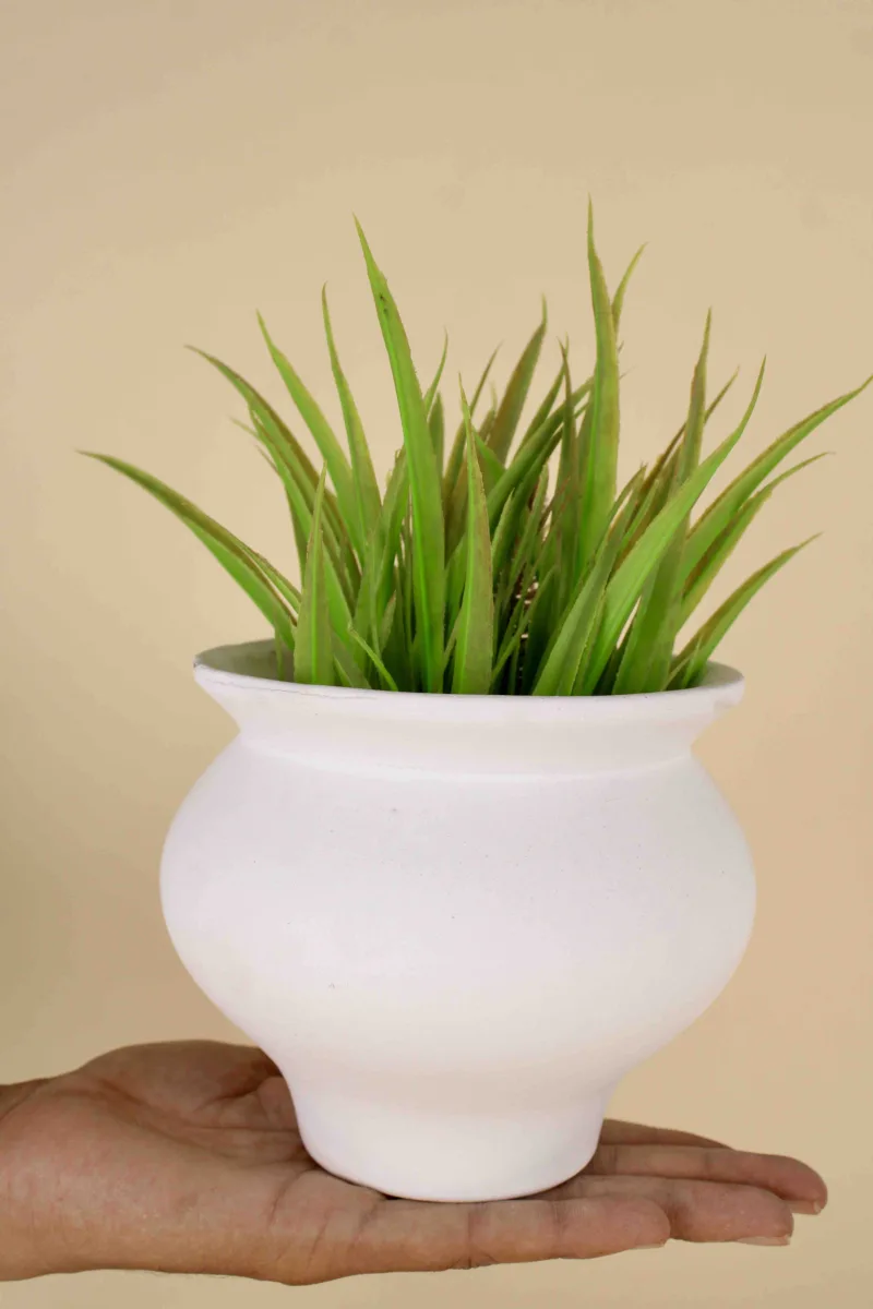 Classic Ceramic Planter — 9" Dia × 7" Height — Primary View