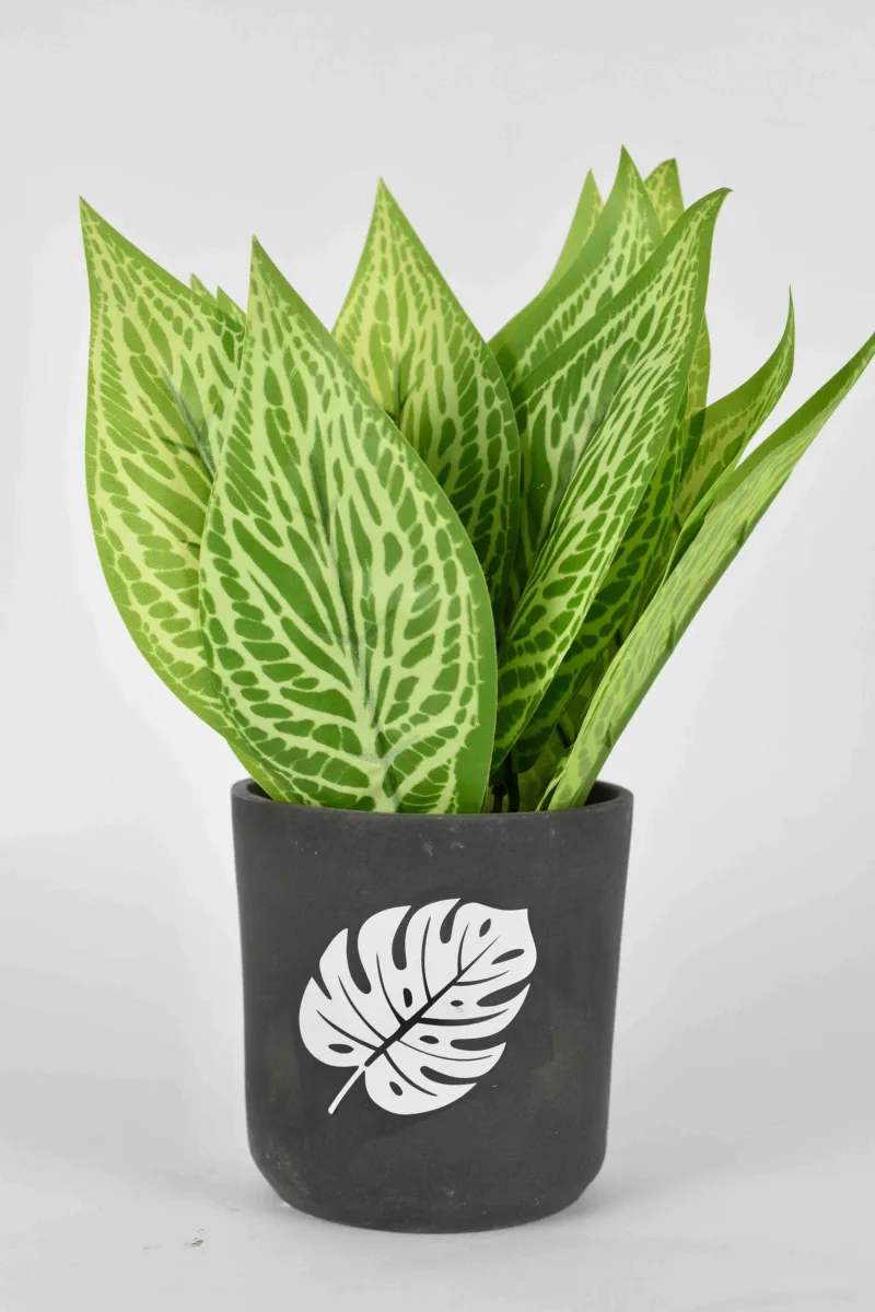 Classic Ceramic Planter — 4" Dia × 4" Height — Primary View
