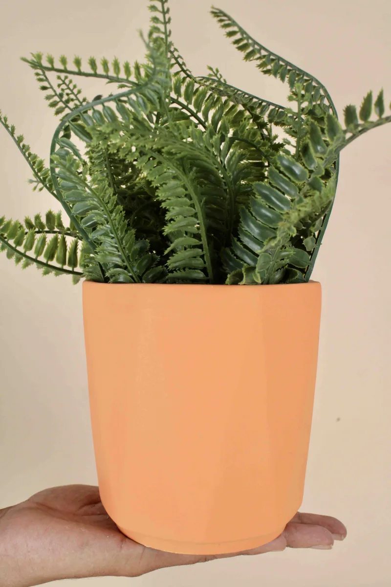 Classic Ceramic Planter — 6" Dia × 4" Height — Primary View
