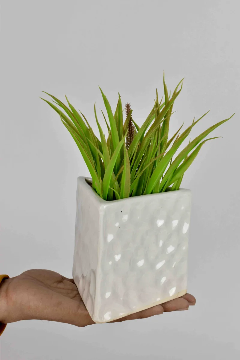 Classic Ceramic Planter — 5" Dia × 4.5" Height — Primary View
