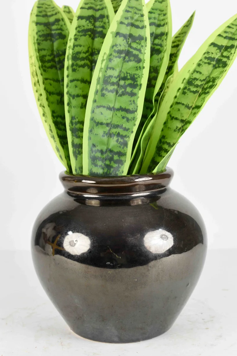 Classic Ceramic Planter — 3.5" Dia × 4" Height — Primary View