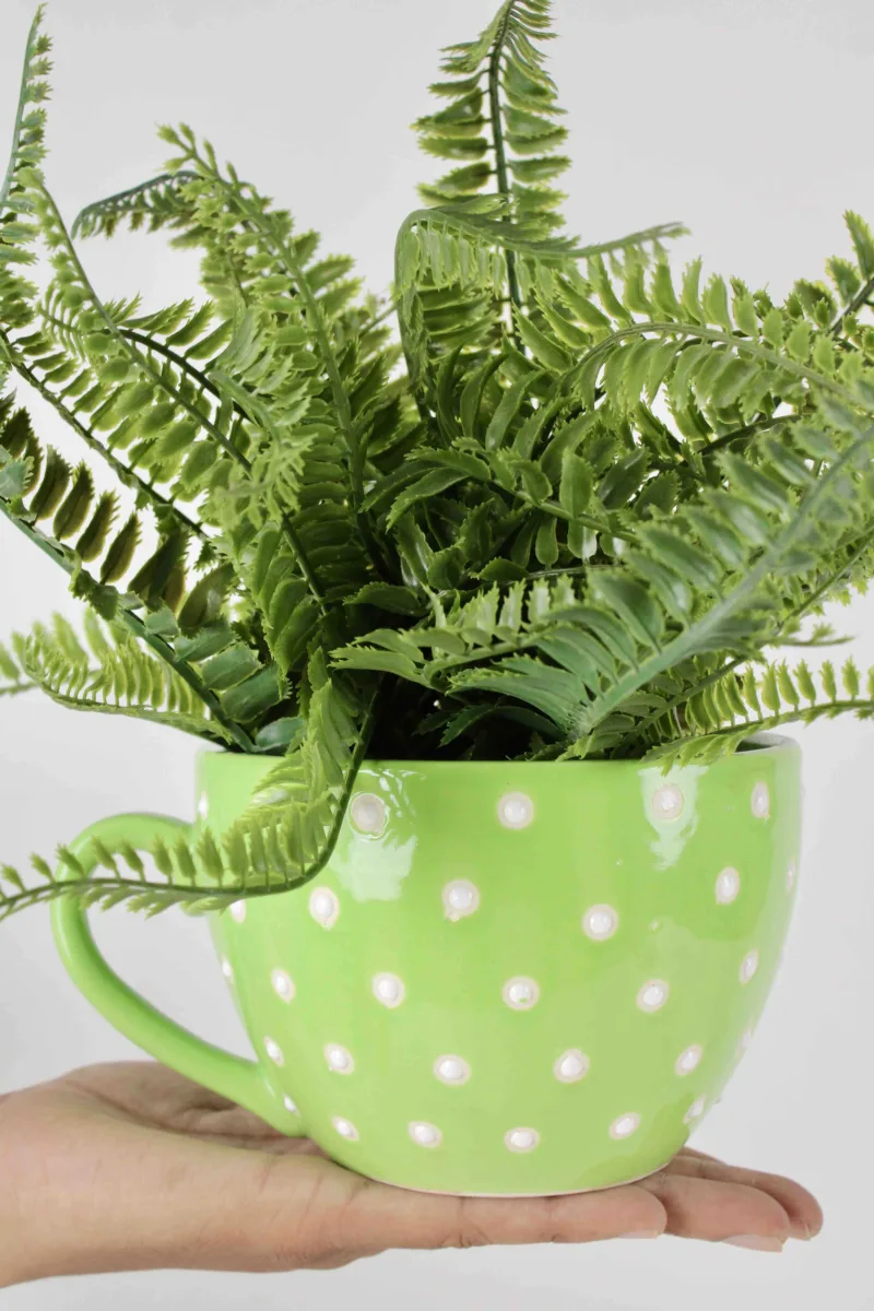 Classic Ceramic Planter — 5" Dia × 4.5" Height — Primary View