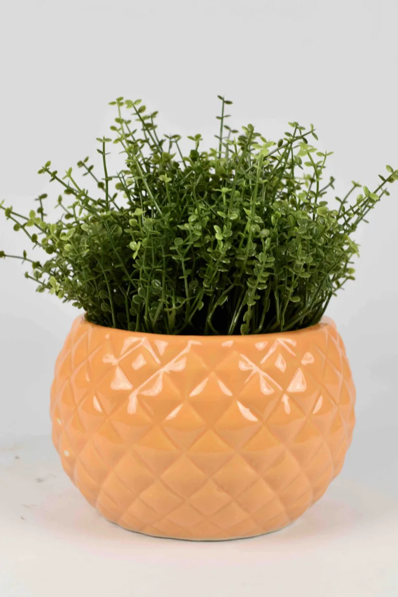 Classic Ceramic Planter — 5" Dia × 5" Height — Primary View