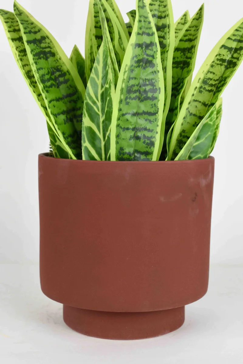 Classic Ceramic Planter — 6" Dia × 6" Height — Primary View