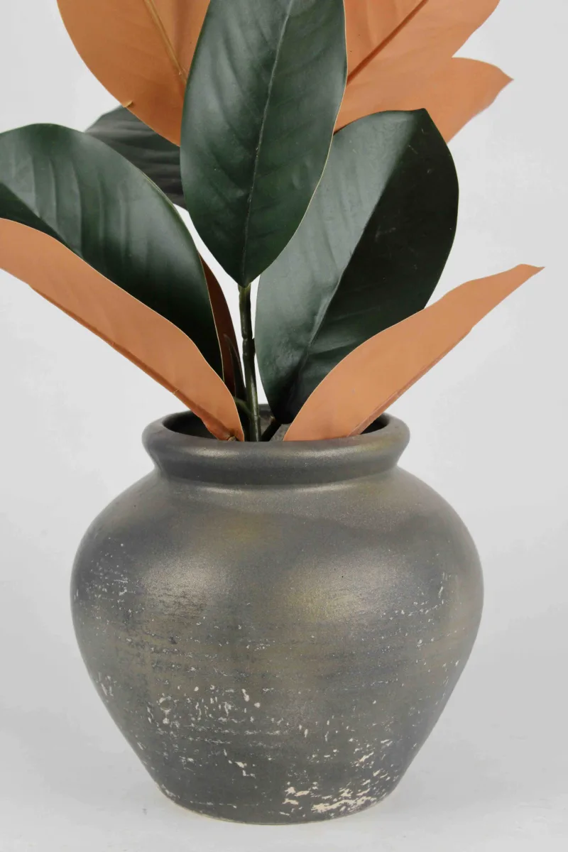 Classic Ceramic Planter — 4.5" Dia × 5" Height — Primary View