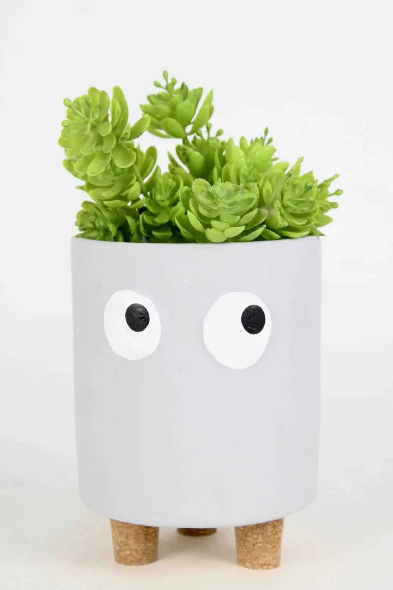 Classic Ceramic Planter — 5.5" Dia × 6" Height — Primary View