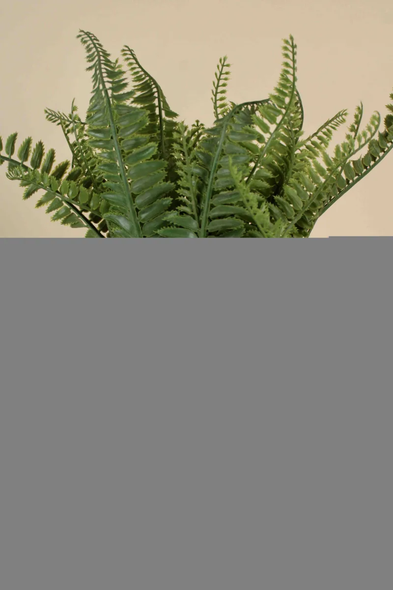 Classic Ceramic Planter — 7" Dia × 4" Height — Primary View