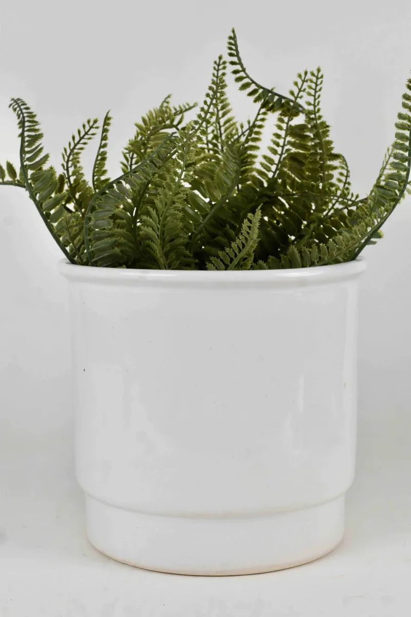 Classic Ceramic Planter — 4.5" Dia × 6" Height — Primary View