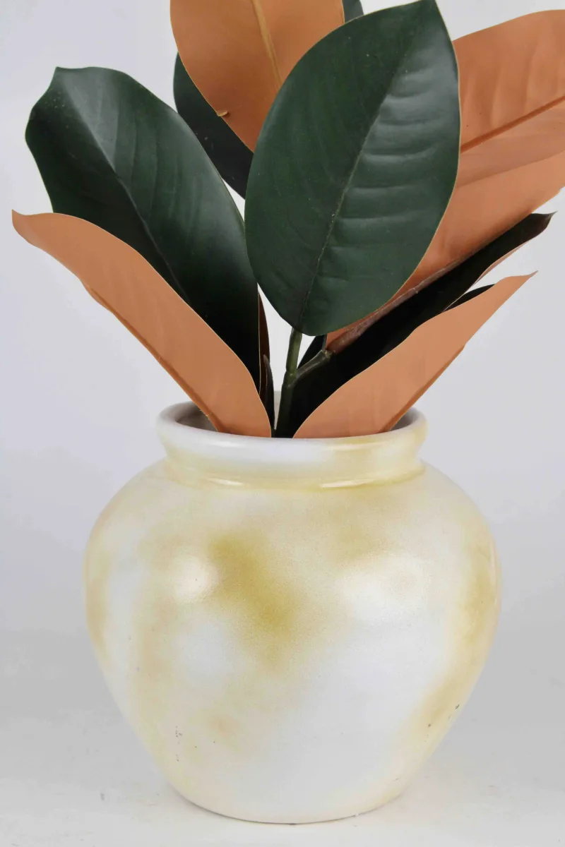 Classic Ceramic Planter — 6" Dia × 6.5" Height — Primary View