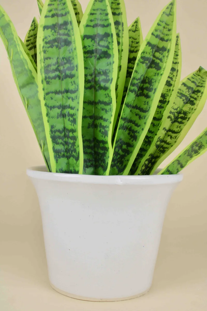 Classic Ceramic Planter — 5" Dia × 4" Height — Primary View