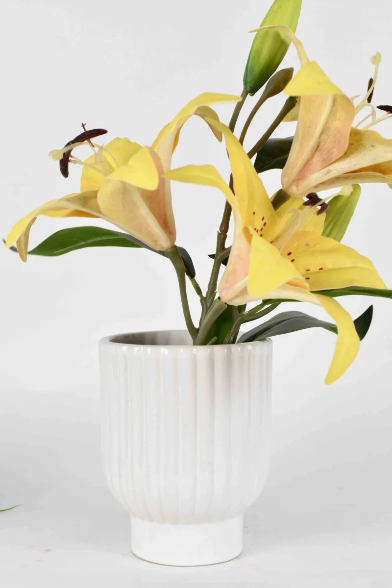 Classic Ceramic Planter — 7" Dia × 4" Height — Primary View