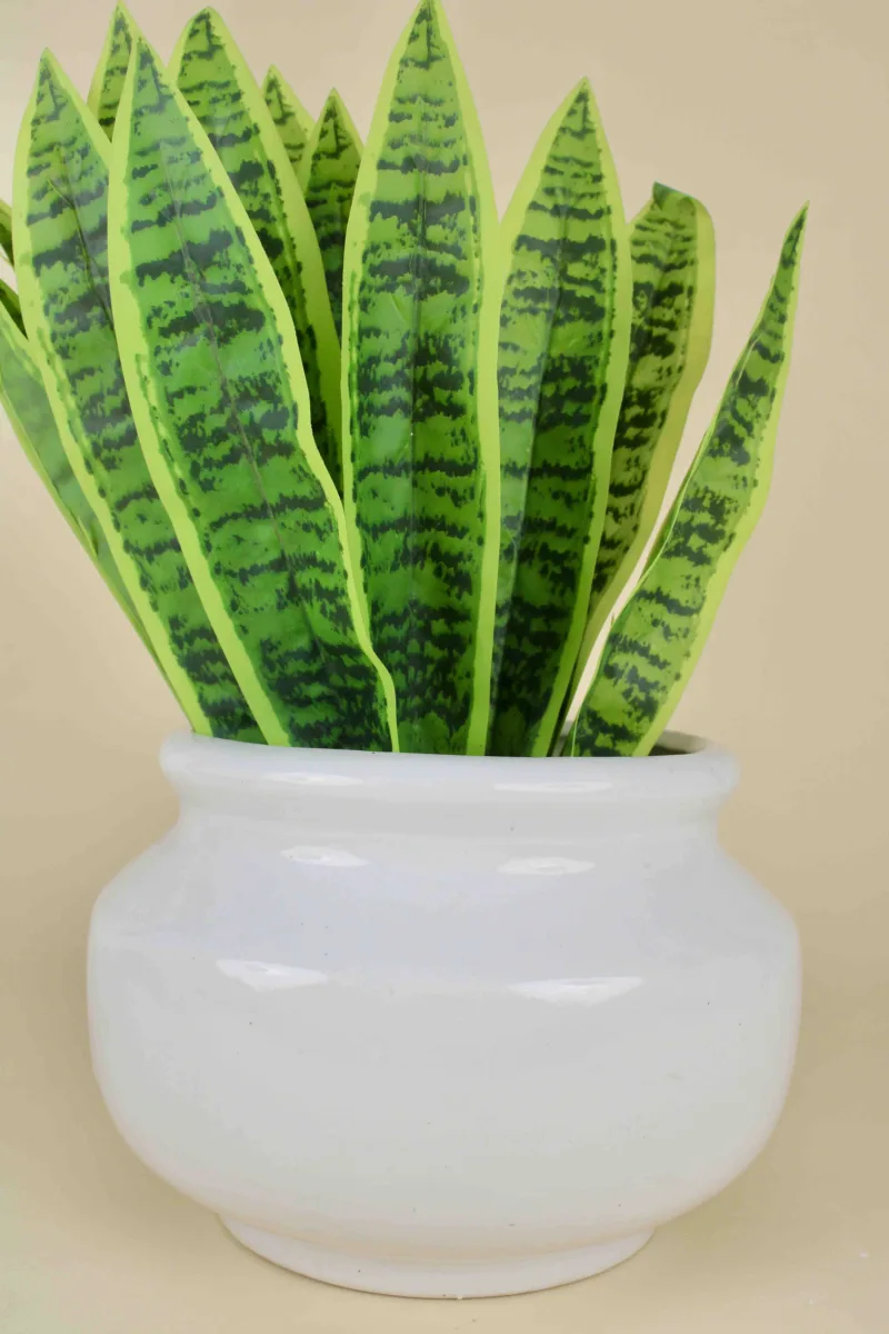 Classic Ceramic Planter — 5.5" Dia × 8" Height — Primary View