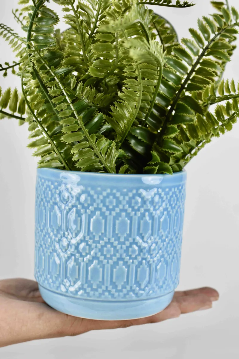Classic Ceramic Planter — 5.5" Dia × 5.5" Height — Primary View