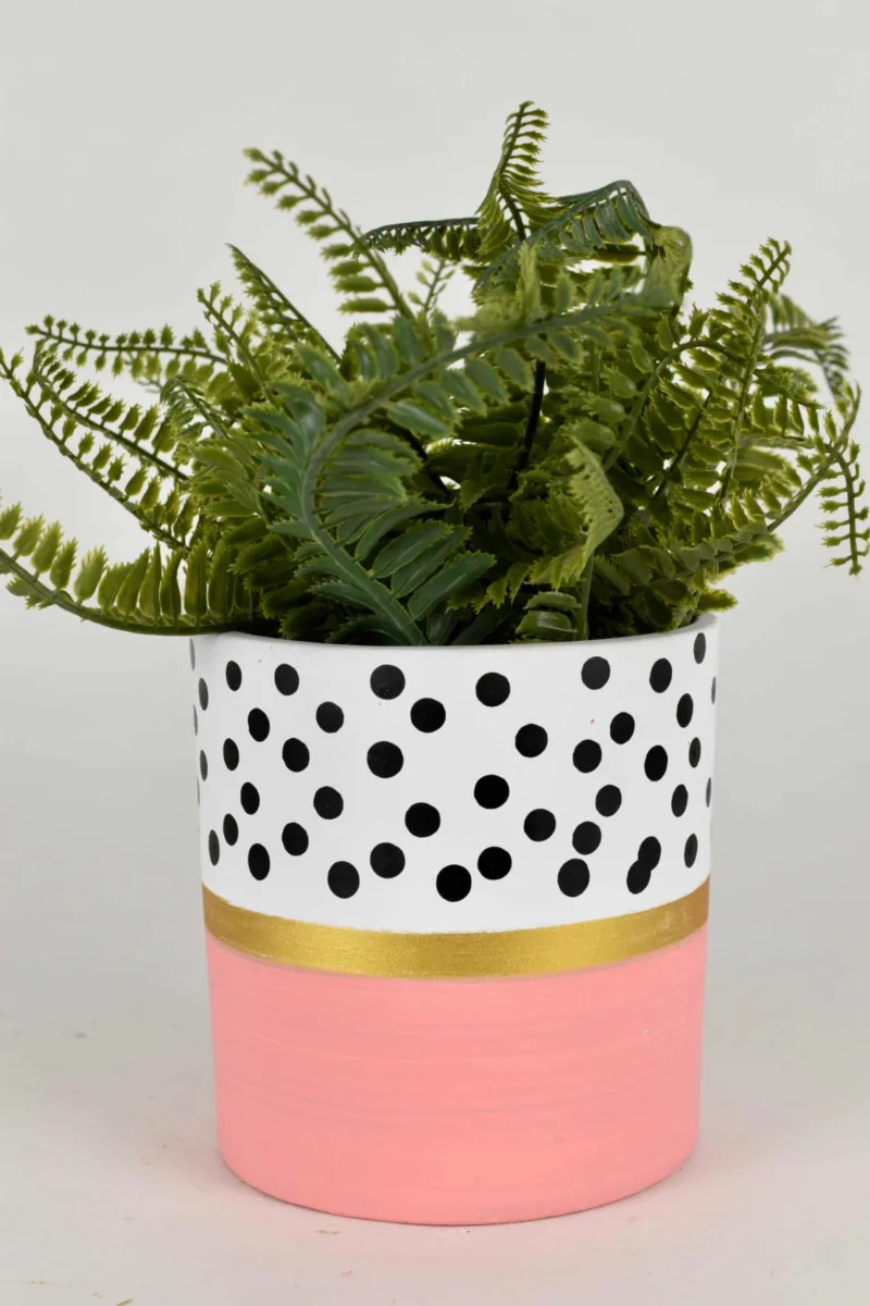 Classic Ceramic Planter — 5.5" Dia × 6" Height — Primary View