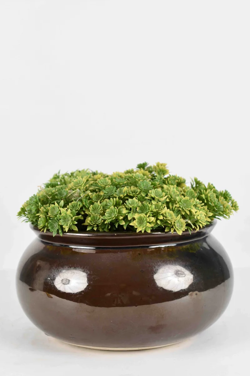Classic Ceramic Planter — 5" Dia × 4.5" Height — Primary View