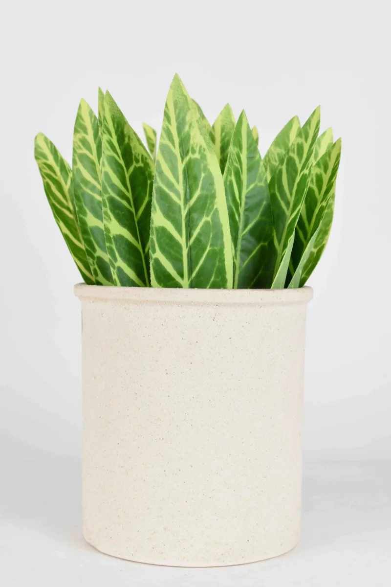 Classic Ceramic Planter — 9" Dia × 6.5" Height — Primary View
