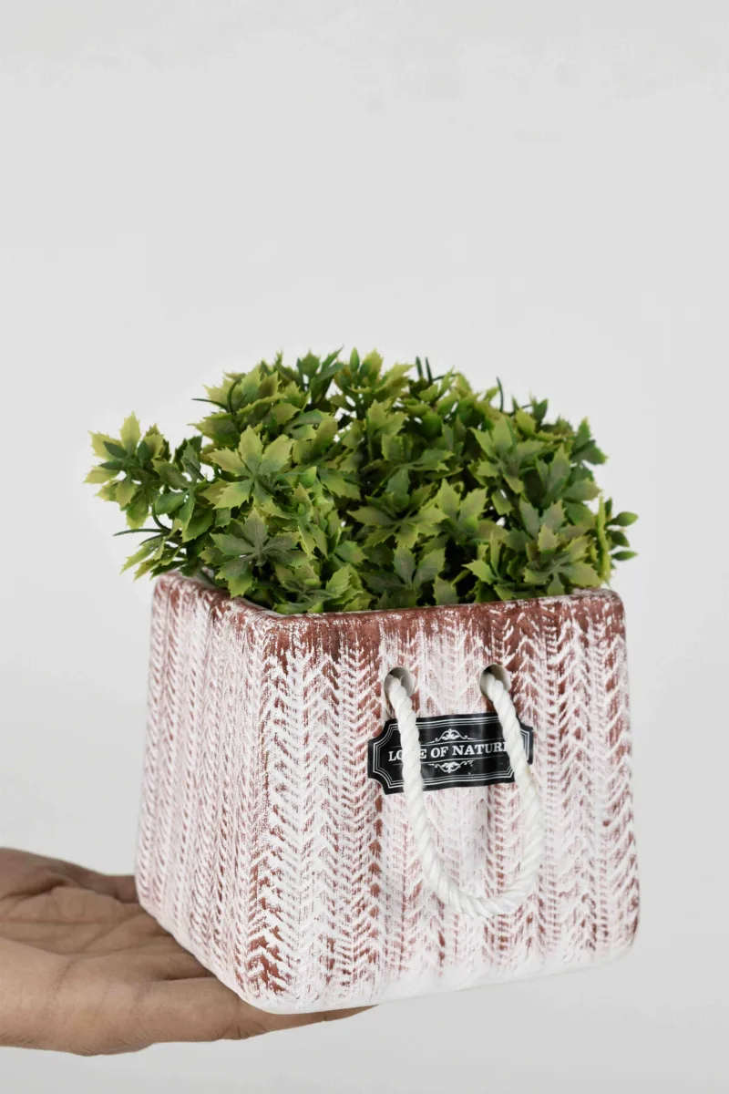 Classic Ceramic Planter — 5.5" Dia × 6" Height — Primary View