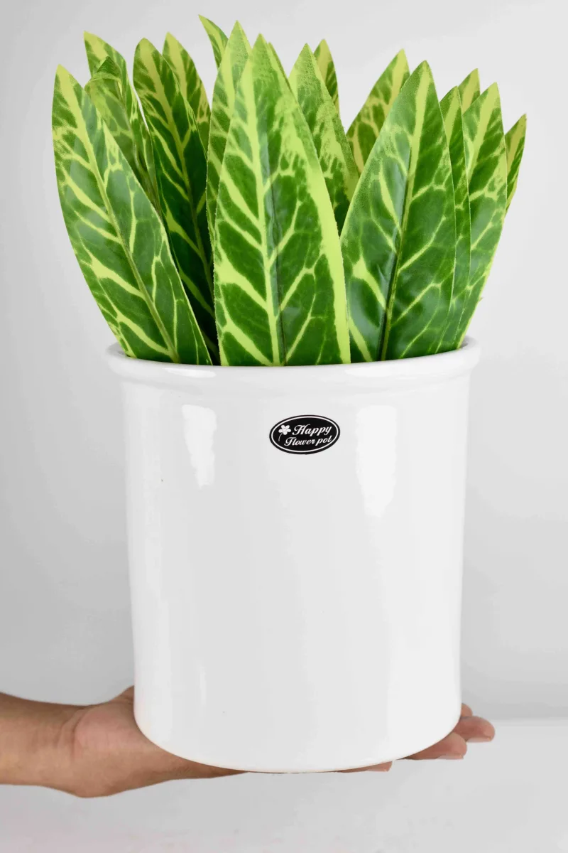 Classic Ceramic Planter — 4" Dia × 4.5" Height — Primary View