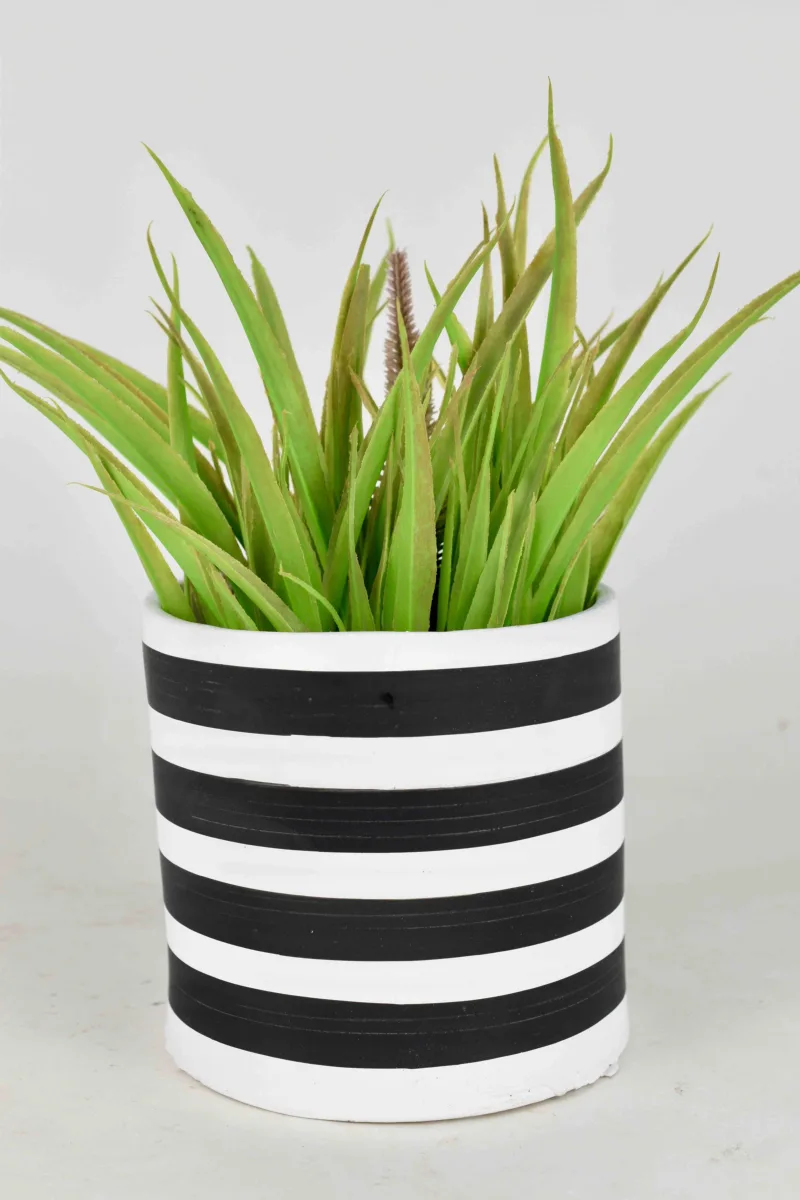 Classic Ceramic Planter — 9" Dia × 7" Height — Primary View