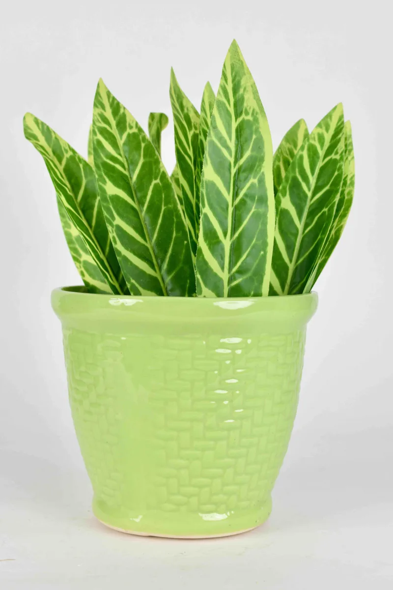 Classic Ceramic Planter — 4" Dia × 4" Height — Primary View
