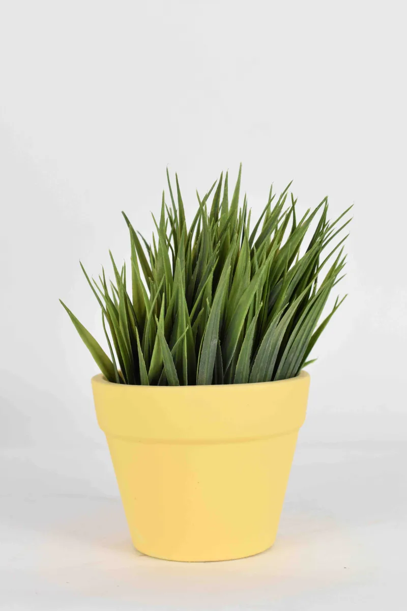 Classic Ceramic Planter — 4.5" Dia × 4.5" Height — Primary View