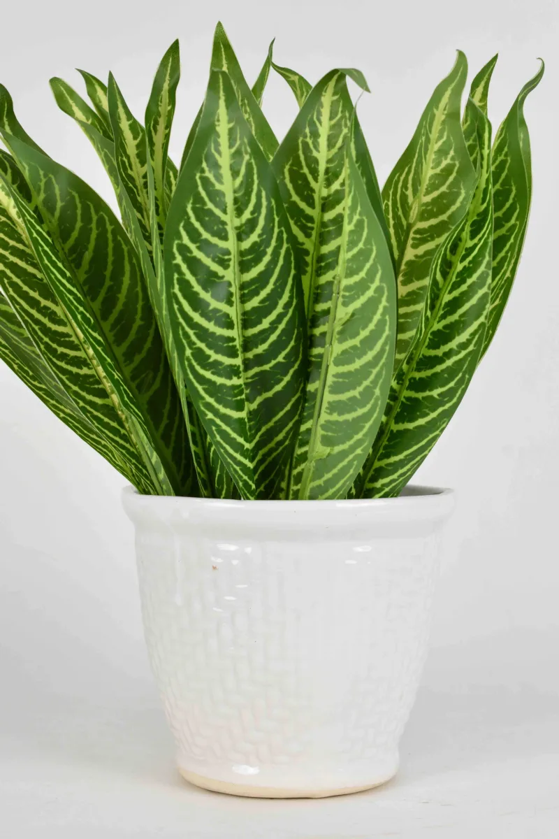 Classic Ceramic Planter — 5" Dia × 4" Height — Primary View