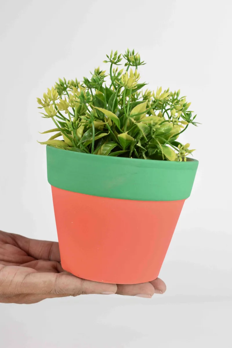 Classic Ceramic Planter — 5.5" Dia × 6" Height — Primary View