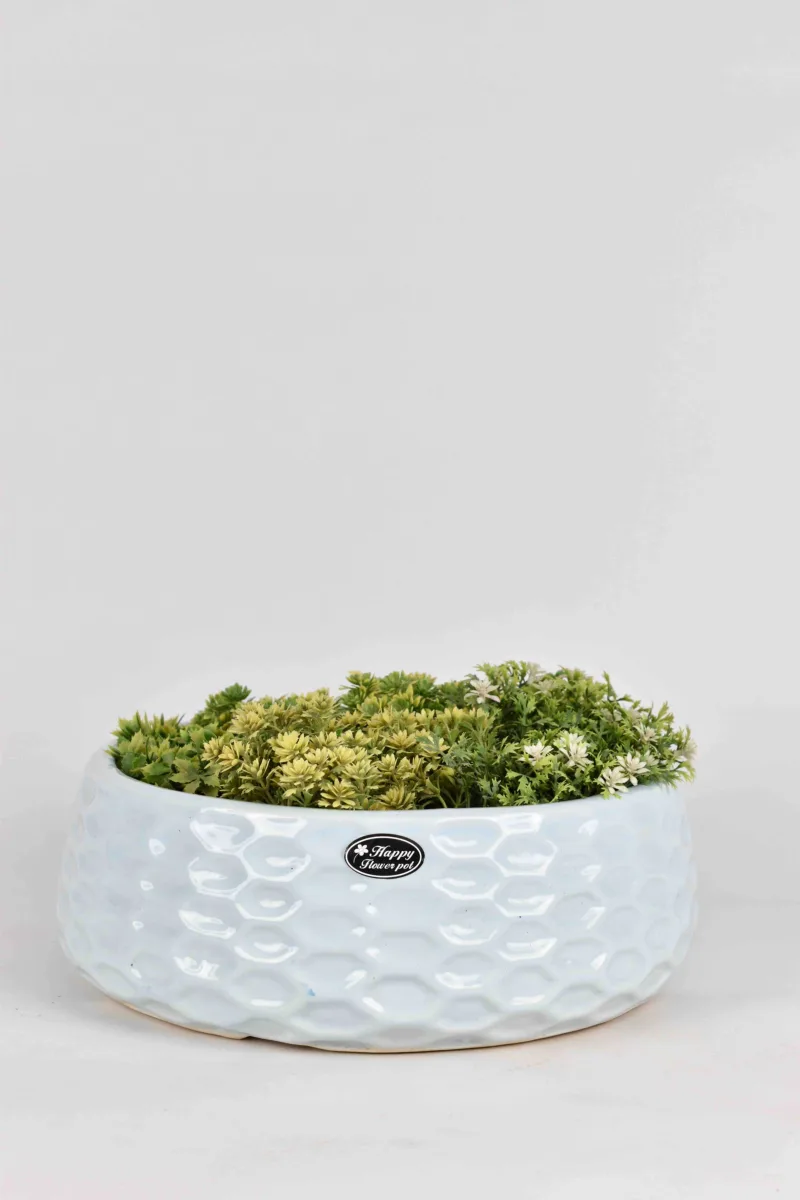 Classic Ceramic Planter — 4" Dia × 4" Height — Primary View