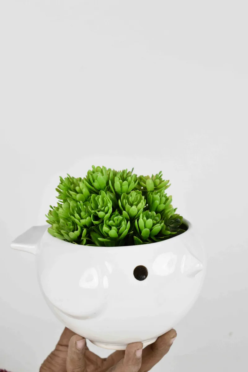 Classic Ceramic Planter — 3" Dia × 3" Height — Primary View