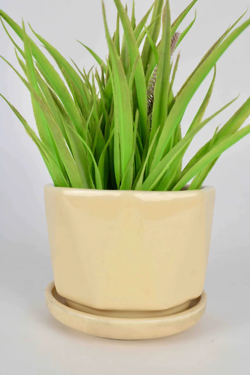 Classic Ceramic Planter — 5" Dia × 4" Height — Primary View