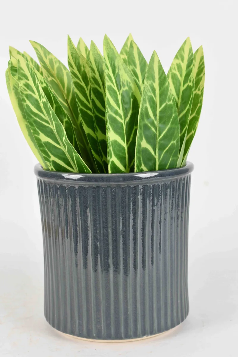 Classic Ceramic Planter — 5.5" Dia × 6" Height — Primary View