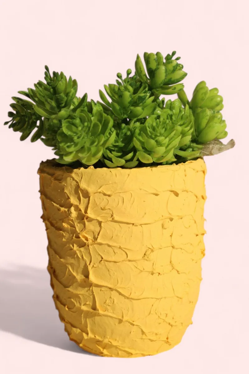 Classic Ceramic Planter — 8" Dia × 4.5" Height — Primary View